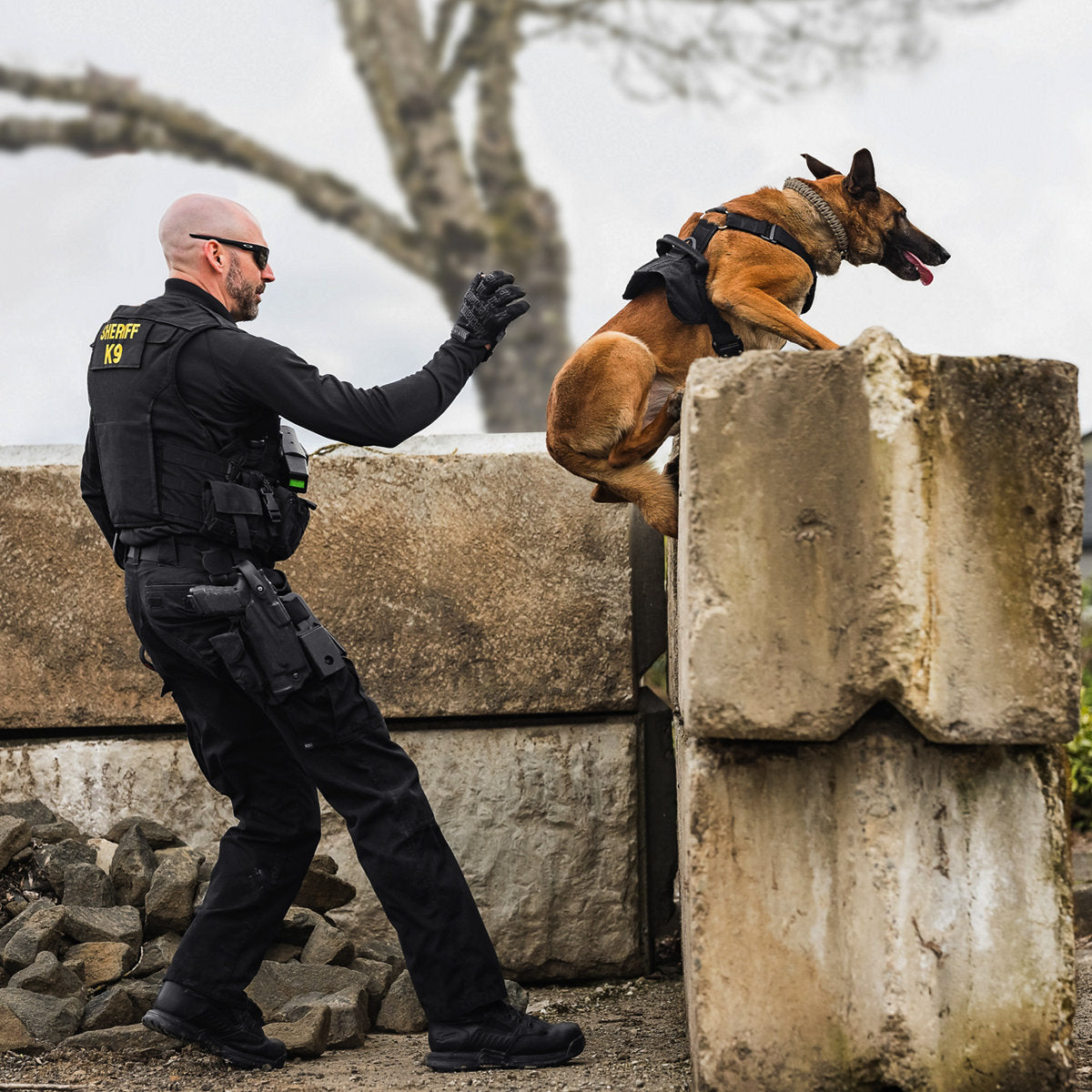 Danner Men's Striker Bolt 4.5" Plain Toe Waterproof Duty Boot -Black- 26630 - Overlook Boots